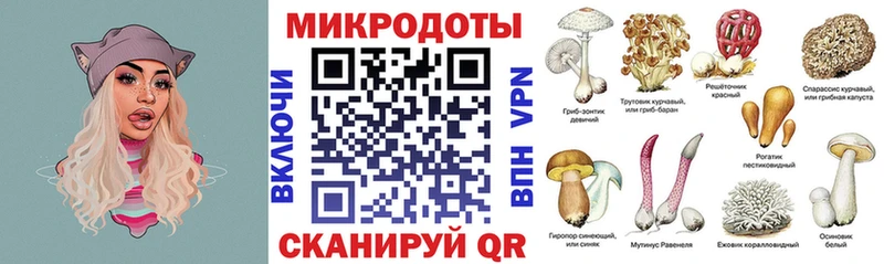 Галлюциногенные грибы Psilocybine cubensis Лаишево